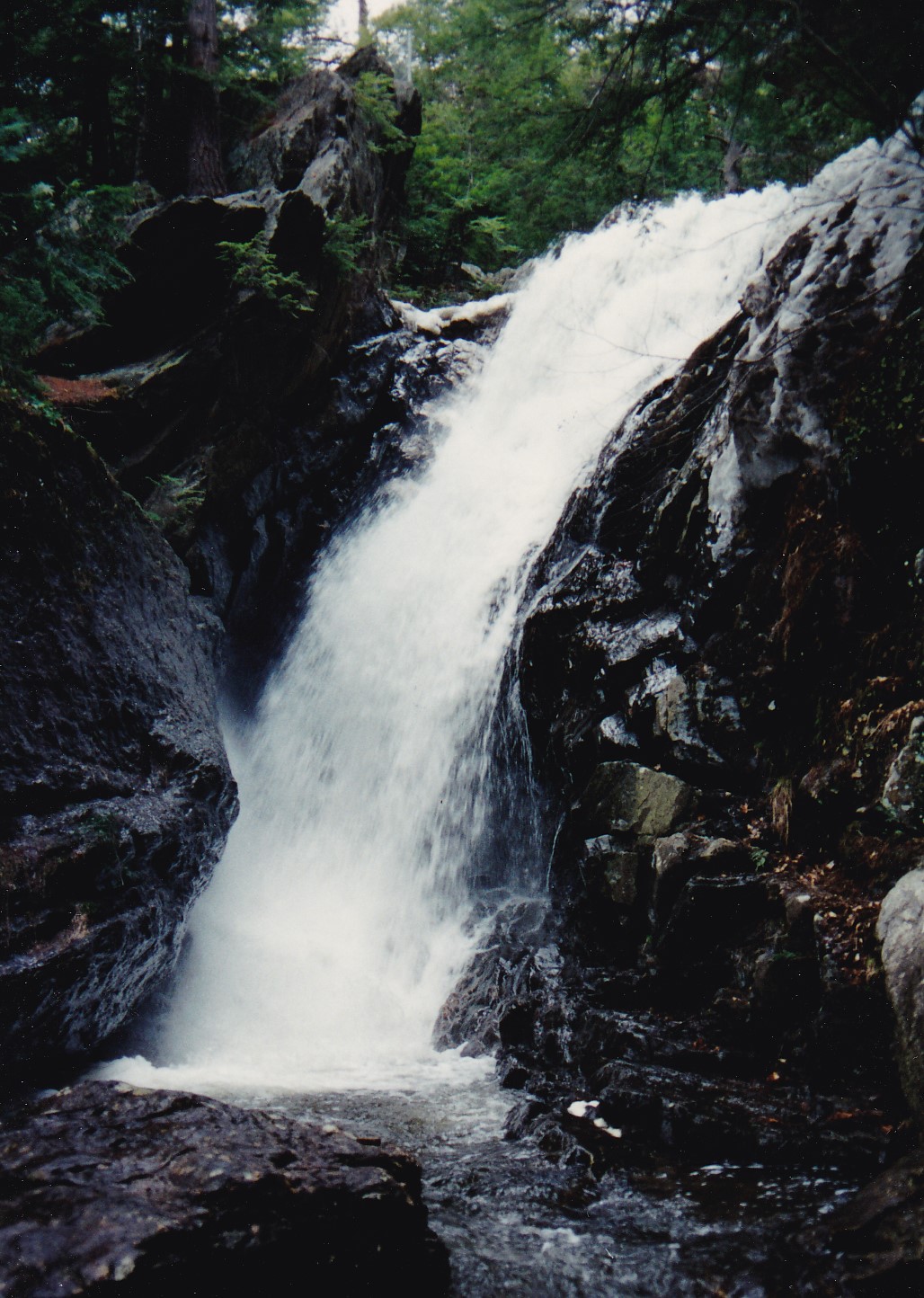 Campbell Falls