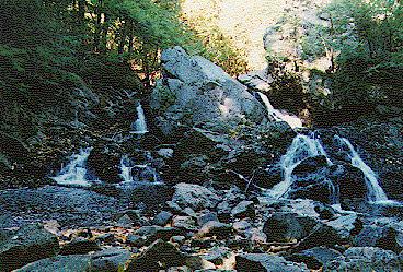 Bear's Den