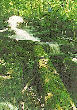 Spirit Falls
