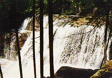 From Trail