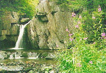 Screw Auger Falls