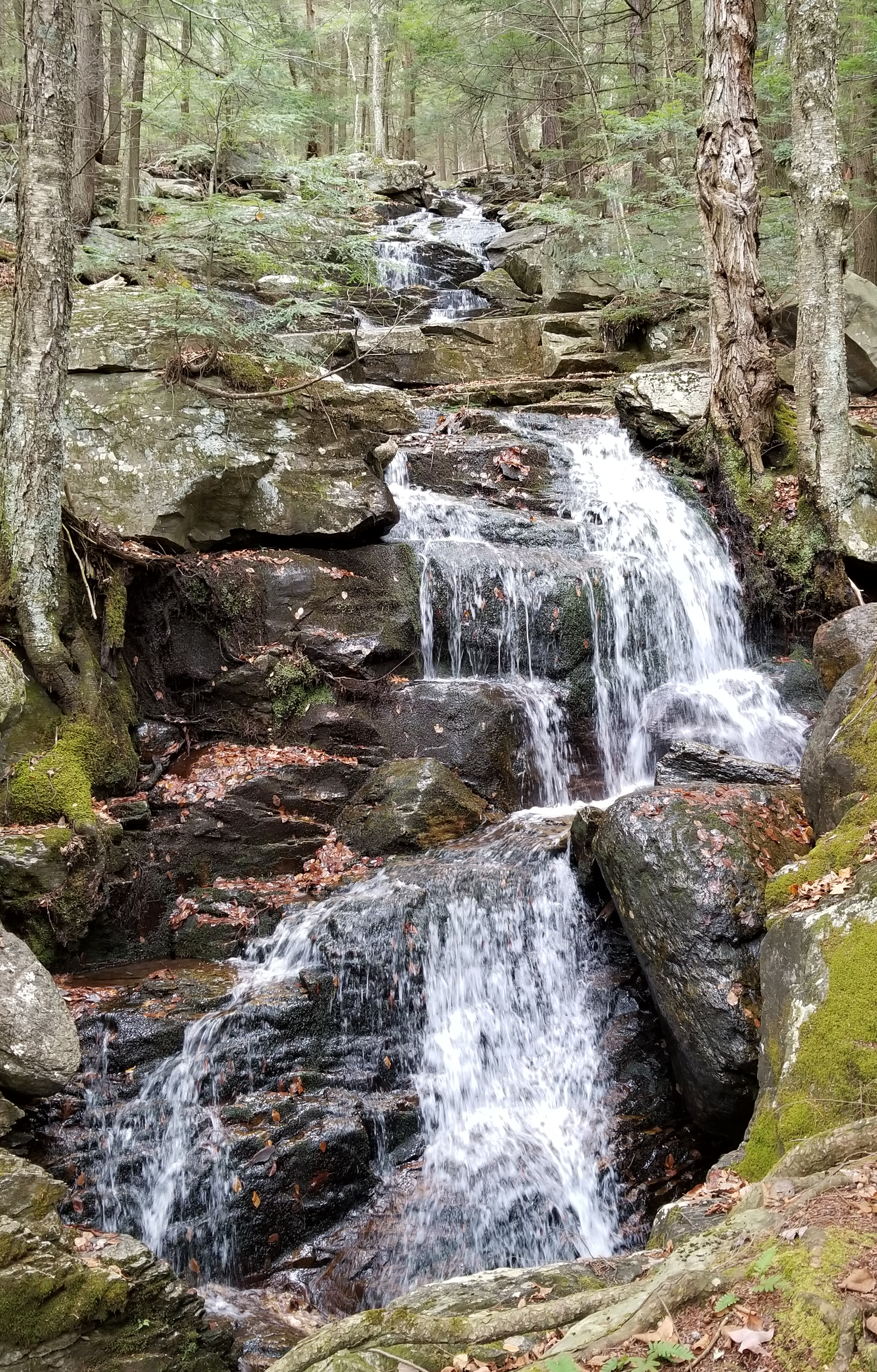 Abbey Pond Cascades, Upper Falls