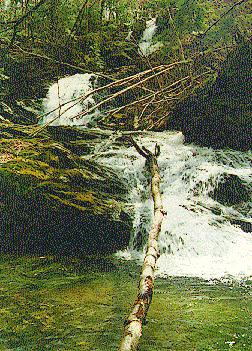 Bailey Falls