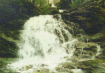 Bailey Falls
