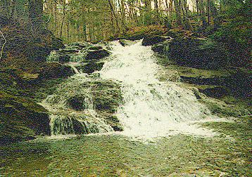 Bailey Falls