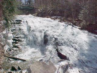 Lower Falls