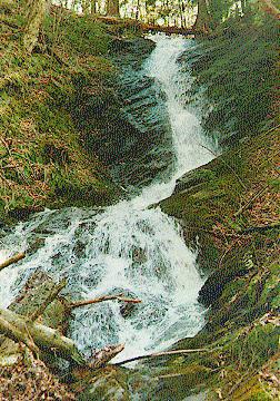 Unnamed Falls in Middlebury Gap
